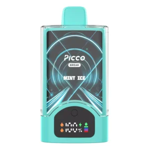 Picco Break 30000 Puffs Mint Ice