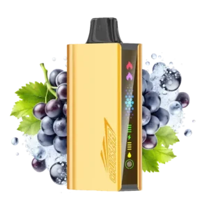 JNR 1 Cruise Grape Ice